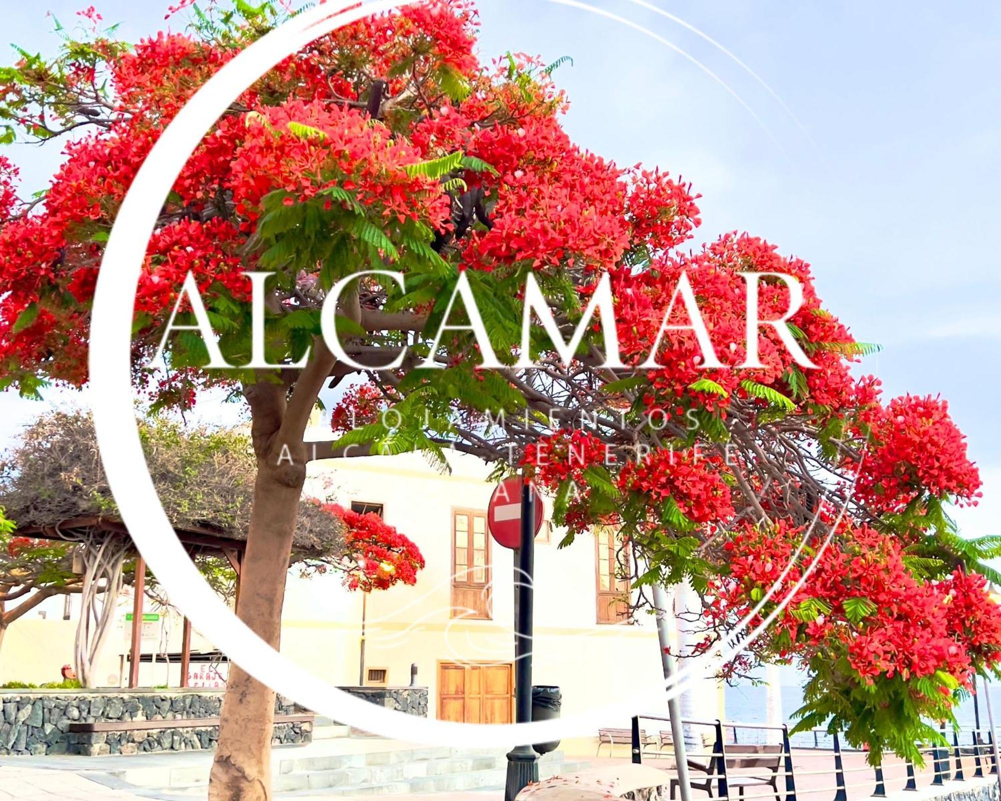 Alcamar Habitacion Privada Con Las Areas De Sala, Cocina Y Bano Que Se Comparten Cerca Al Mar! Alcala  Bagian luar foto